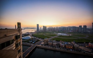 属猪的95年看姻缘签 属猪95年一生婚姻状况？